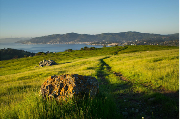 Marin County Real Estate Report - May 2021